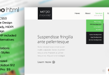 Metpo -響應視網膜HTML5模板
