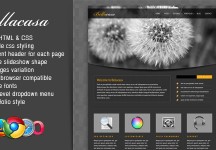 Bellacasa——清潔&現代網站模板