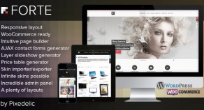 Forte multipurpose WordPress 網站版型主題 (eCommerce ready)