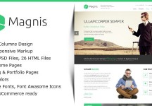 Magnis——多用途的HTML模板