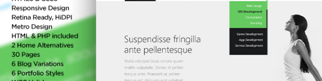 Metpo -響應視網膜HTML5模板