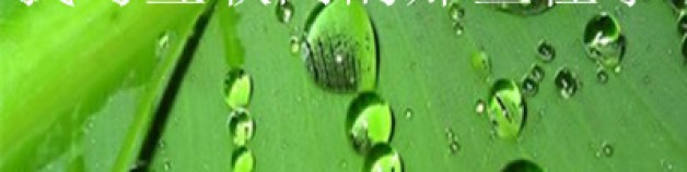 SEO每日一說:我與互聯網的那些往事!