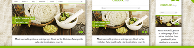 Organic Shop – 響應式技術WooCommerce 網站版型主題