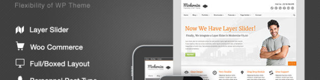 Modernize – Flexibility of WordPress