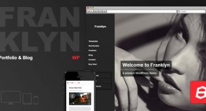 Franklyn -組合&博客WordPress主題