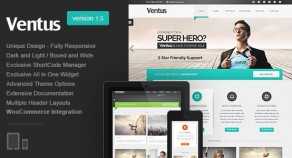 Ventus——獨特的多功能WordPress主題