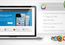 Antasena -公司業務模板4