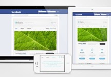 Genero Facebook HTML模板