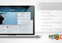 Triveo——清潔業務模板3