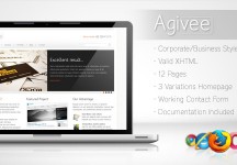 Agivee -公司業務模板