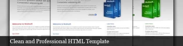 Multisoft -清潔和專業的HTML模板