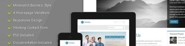 Centita——極簡主義商業模板