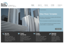 藍色的月亮——一個企業或投資組合模板