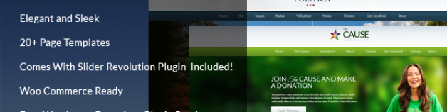 原因——非營利WordPress主題