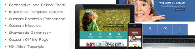 γ-響應Joomla模板