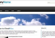 CloudNine——新鮮的企業