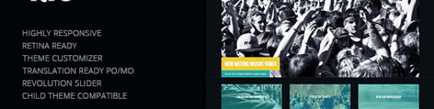度量:音樂帶響應的WordPress主題
