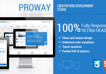 ProWay -響應的多用途HTML5模板